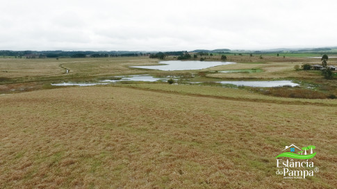 DA VARZEA ATE O GADO NA COXILHA.00_00_19_13.Quadro002_7cb5d5cf5a425117724918563e9338ae83e64bbe.jpg